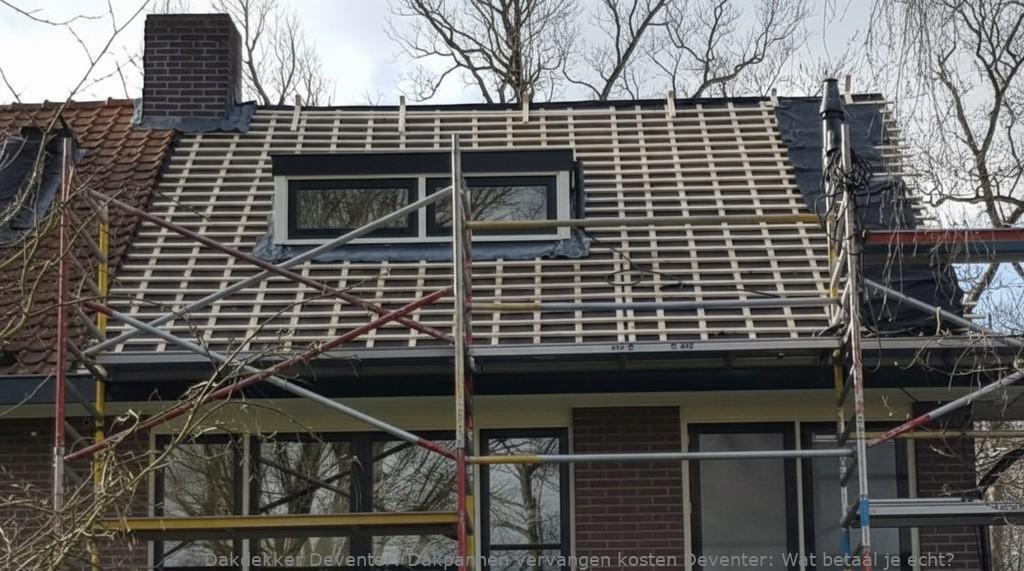 Dakpannen Vervangen Kosten Deventer