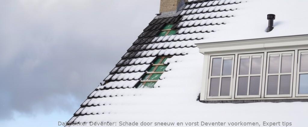 Schade door sneeuw en vorst Deventer voorkomen, Expert tips